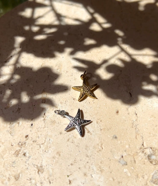 Coastal star charm