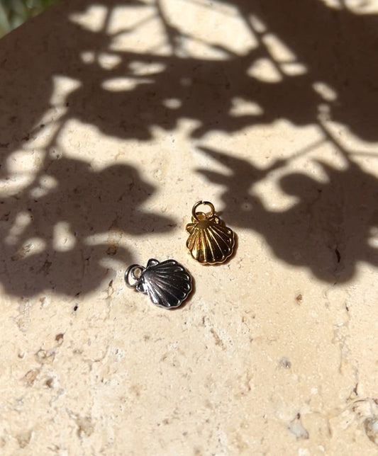 Shell charm